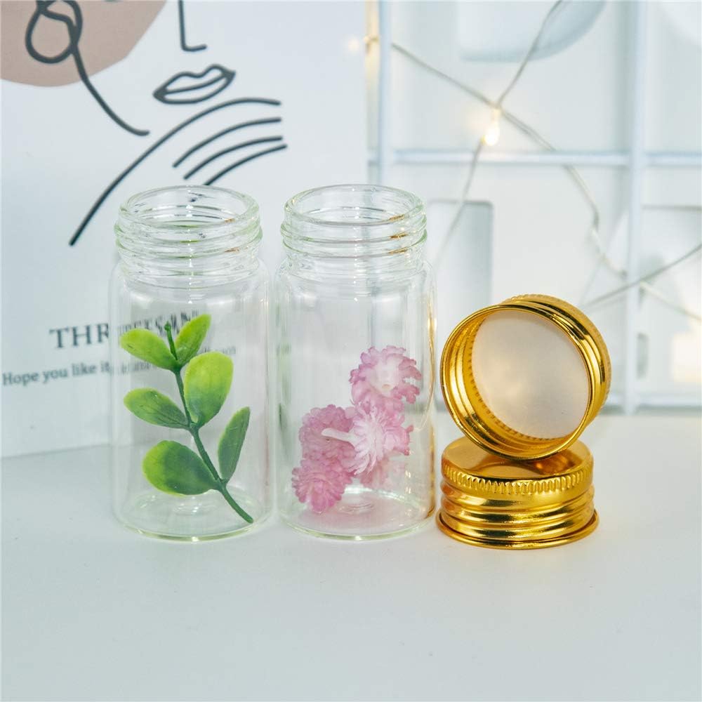 50 Buah Botol Tabung Uji Kaca  - Art Craft Youtube ulasan dan harga